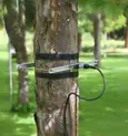 DD-L1W